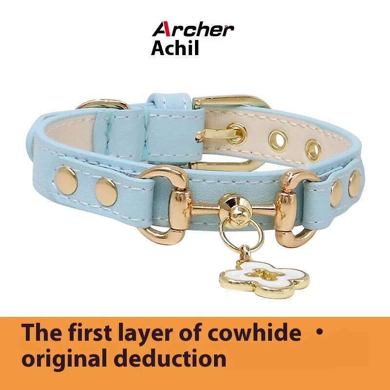 Achille Adjustable Leather Pet Teddy Cat with Metal Neck Collar Drawable Light Blue Contrast Buckle
