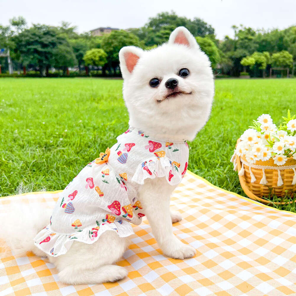 Famous brand Pet Leash Outdoor Heart Summer Dress Cat Supplies Corgi Dog Clothes Apparel pupakaIK
