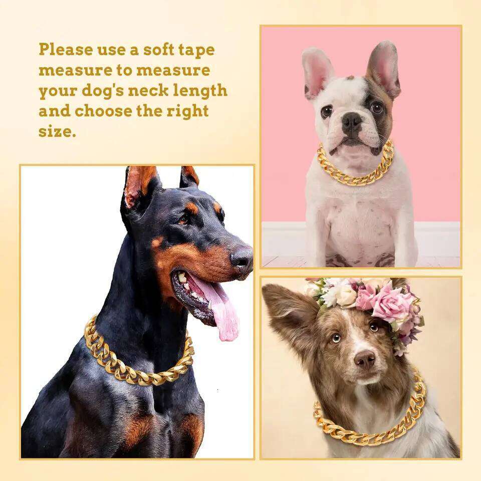 Heavy Duty 19MM Wide Light Strong Metal Cuban Link Collar,Gold Dog Chain Collar for Small Medium Dogs