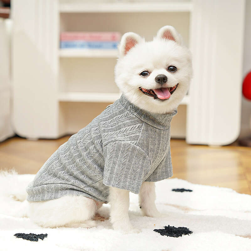 Famous brand Early Autumn Winter Base Shirt Stretchy Pet Dog Clothes Cat Supplies Teddy Bichon Ragdoll British Shorthair Short Legs pupakaIK