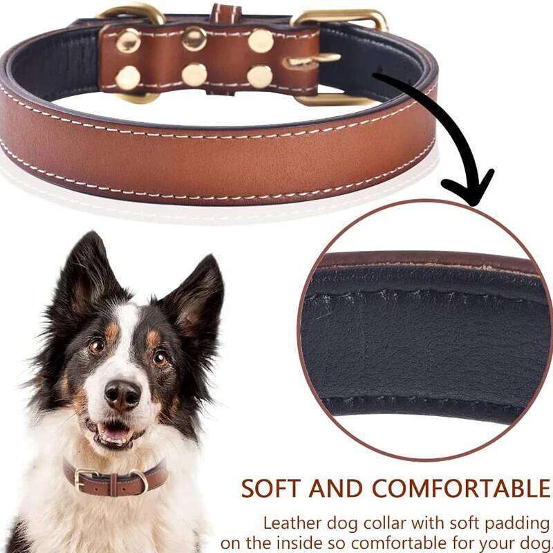 Genuine Leather Padded Dog Collar Comfortable Strong Soft Collars Best for Small Medium and Large Breed Dogs Brown color
