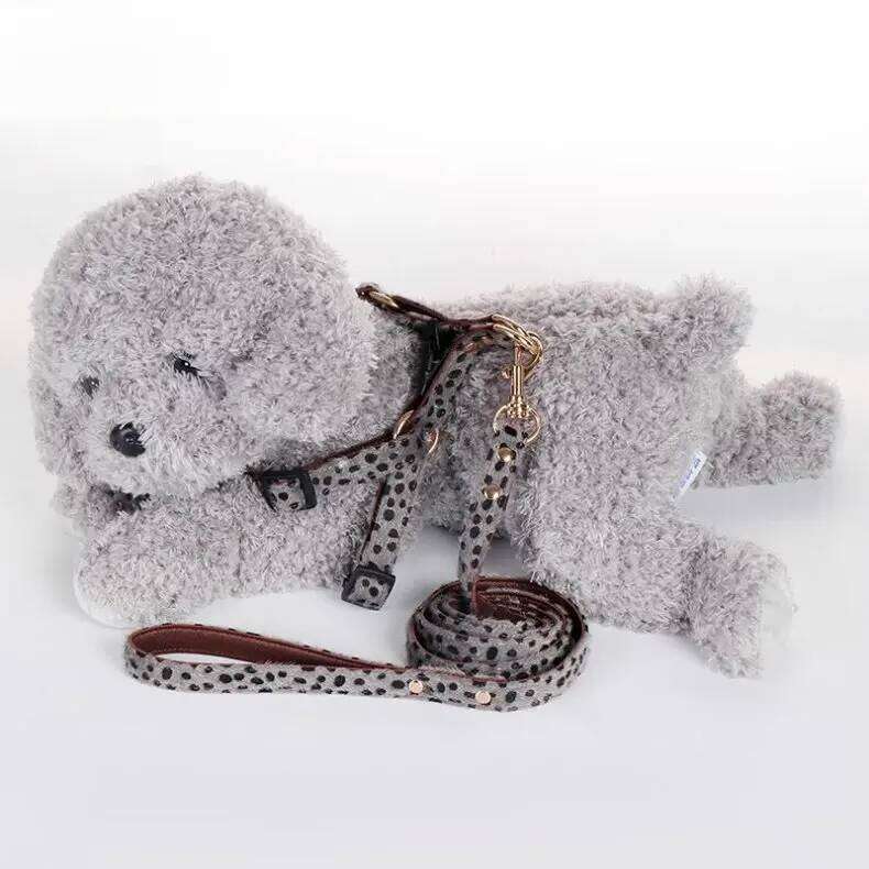Leopard Leather Small Dog Collar and Leash Set Poodle Yorkshire Terrier Puppy Collars Pet Supplies Collier Chien