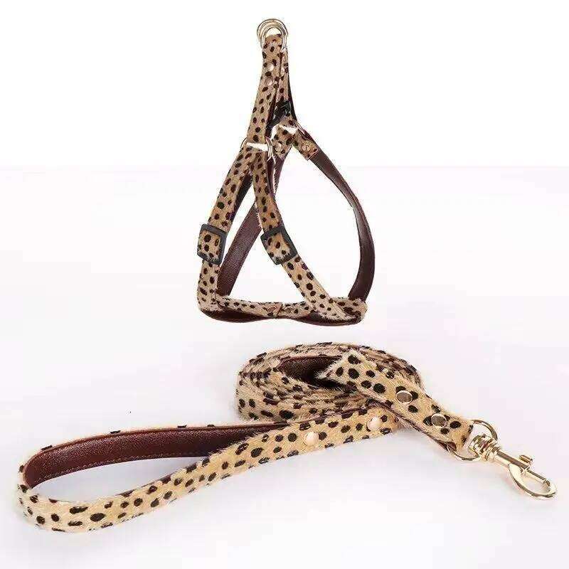Leopard Leather Small Dog Collar and Leash Set Poodle Yorkshire Terrier Puppy Collars Pet Supplies Collier Chien