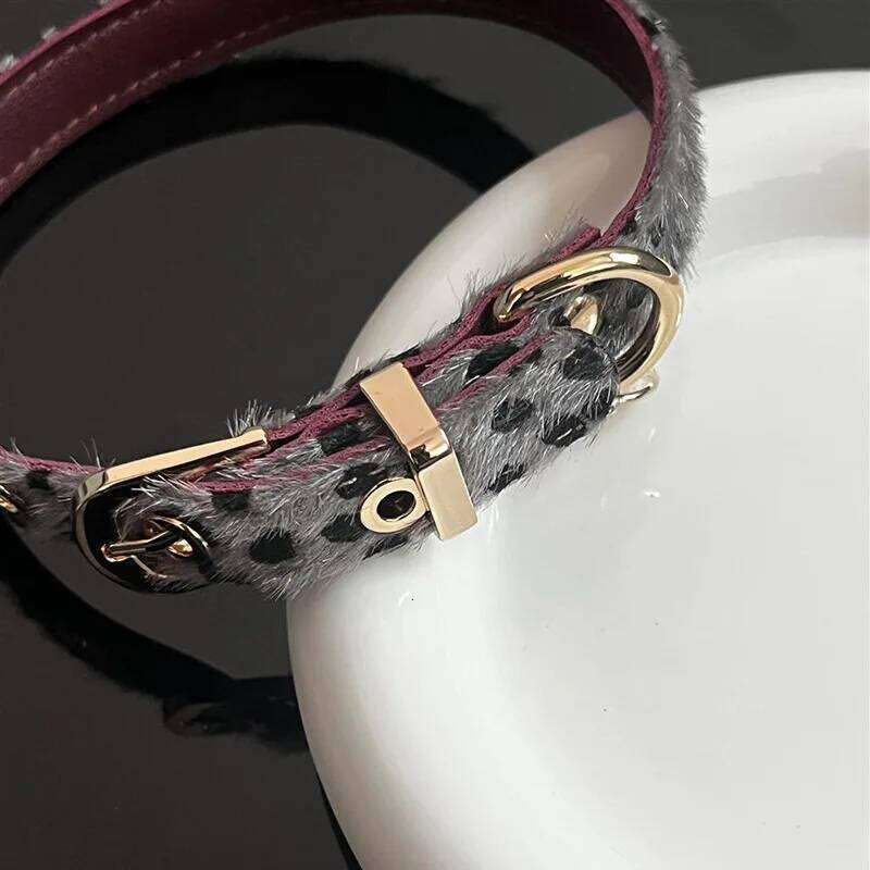 Leopard Pattern Small with Soft PU Leather Dog Metal Leash- Adjustable Comfort Fit Pet Collar for Wal