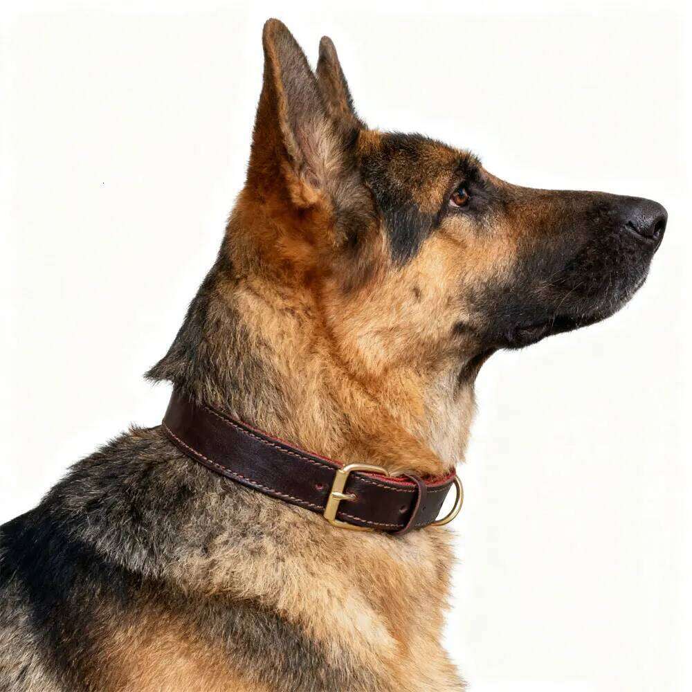 Genuine Leather Dog Collar Solid Copper Ring Braided Wear-Resistant Pet Accessories Travel Outdoor Train Walk Animal Supplies