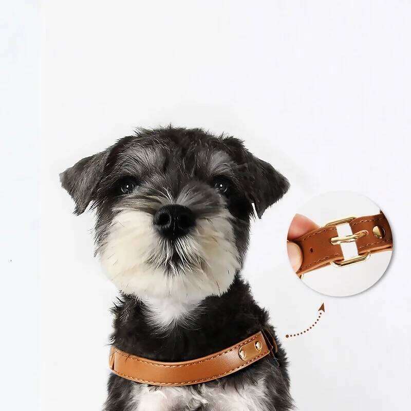 Y shaped leather for cat and small dogs metal accessories dog harness with leash set no pull light weight pet vest