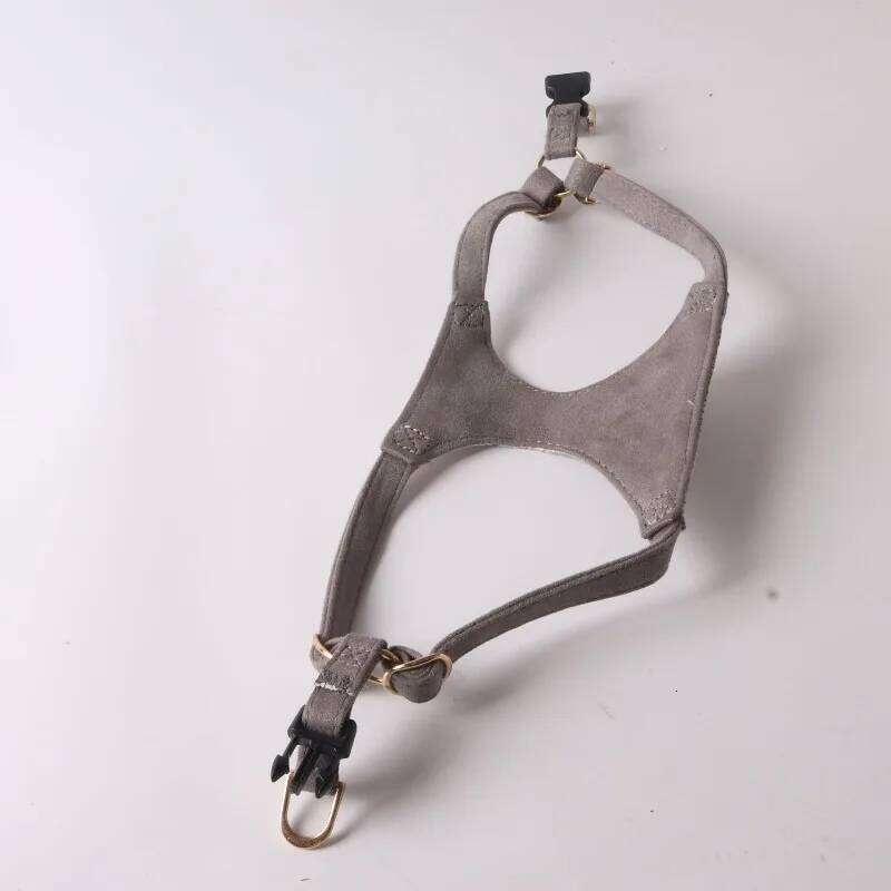 New Embroidered Satin Dog Harness Set Adjustable Small Medium Dogs Vest Leash Puppy Kitten Pet Supplies Accessories