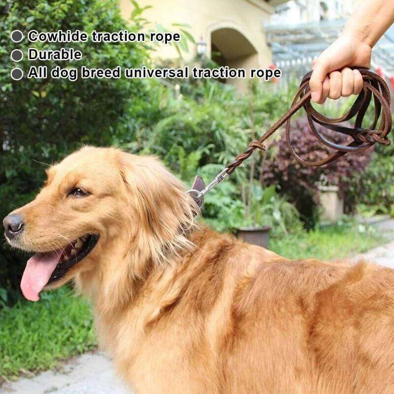Genuine Leather Dog Leash Dogs Long Leashes Braided Walking Training Leads Brown Black Colors for Medium Large Pet