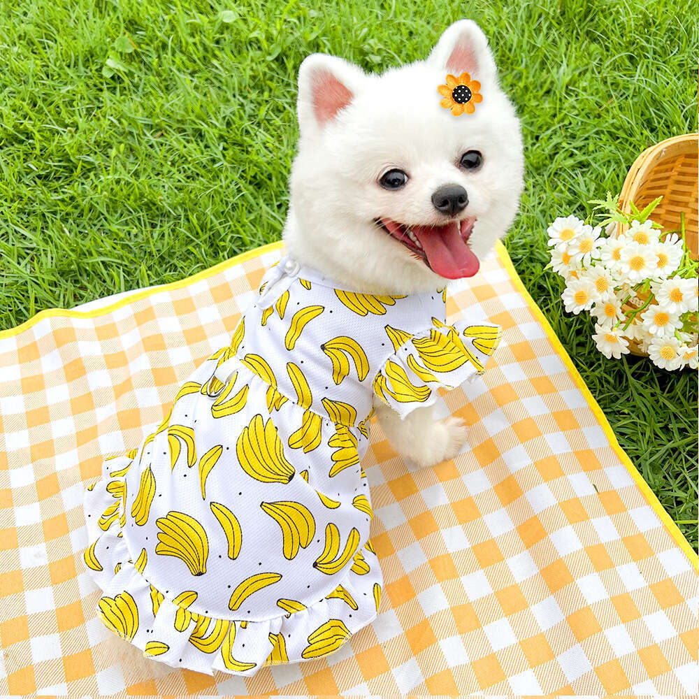 Famous brand Pet Leash Outdoor Heart Summer Dress Cat Supplies Corgi Dog Clothes Apparel pupakaIK