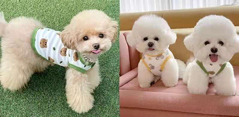 Famous brand Small Medium Large Vest Teddy Bichon Pomeranian Dog Pet Clothes Summer Thin Cat Supplies pupakaIK
