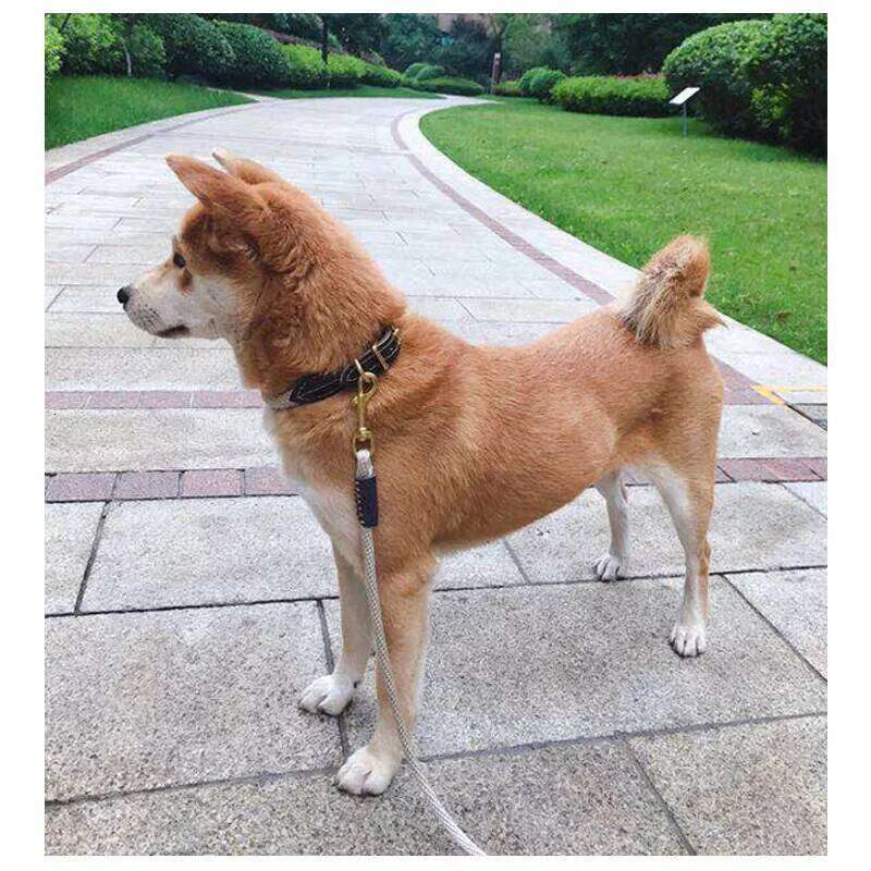 Leather Collar Durable Pet Dog Collars Necklace Adjustable Necalaces for Small Medium Large Dogs French Bulldog Pitbull