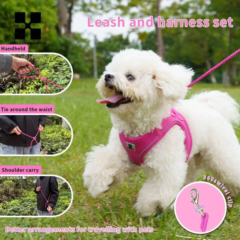 Leash Set for Small Medium Dog Adjustable Reflective Puppy Cat Harness pet Vest Chihuahua Dachshund Outdoor Walking