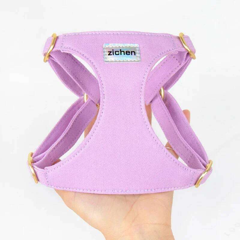 Puppy with Multifunction Leash Set Dog Vest No Pull Step in Harness for Extra Small Dogs 2024 New