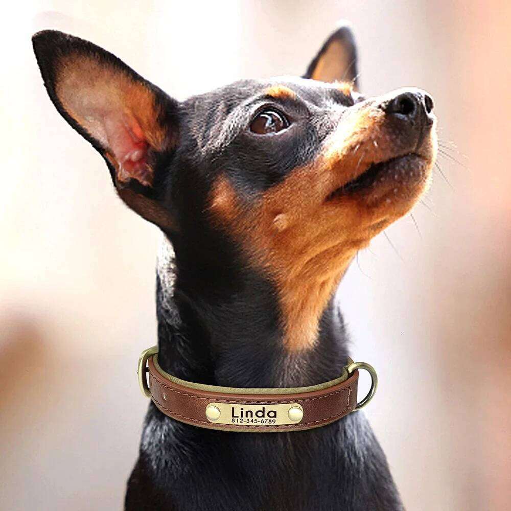 Personalized Leather Custom Soft Padded Dog Collars Durable Pet ID Tag Collar Adjustable for Small Medium Large Dogs