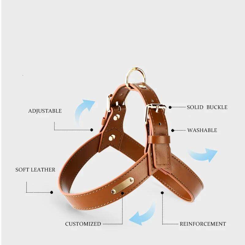 Y shaped leather for cat and small dogs metal accessories dog harness with leash set no pull light weight pet vest