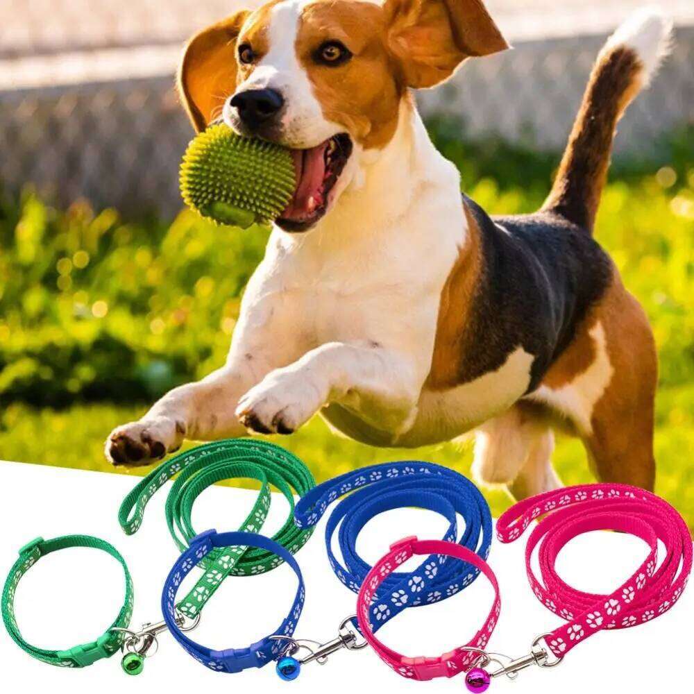 Dog Paw Print Adjustable Breathable Cat Traction with Collar Pet Walking Lead Rope