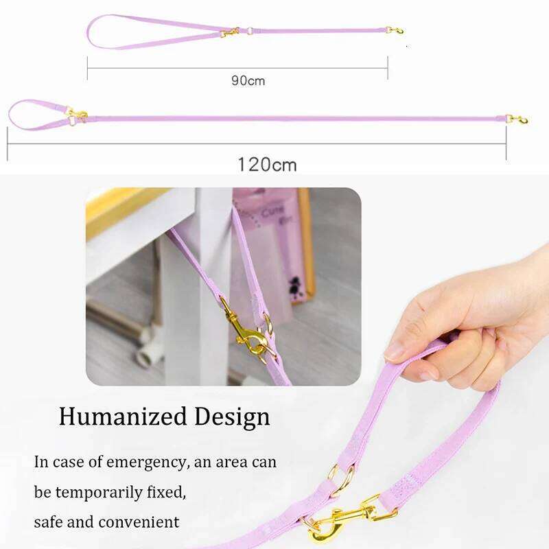 Puppy with Multifunction Leash Set Dog Vest No Pull Step in Harness for Extra Small Dogs 2024 New