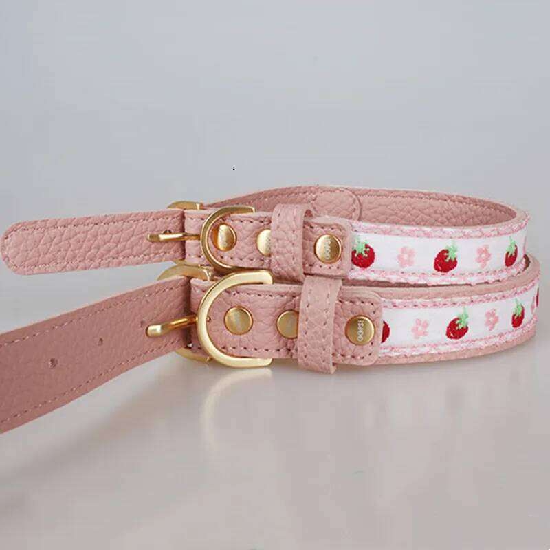Soft Leather Pet Exquisite Embroidery Dog Collar and Leash Set Yorkshire Terrier Schnauzer Poodle Puppy Collars