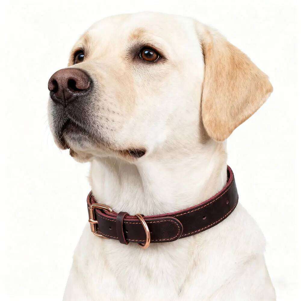 Genuine Leather Dog Collar Solid Copper Ring Braided Wear-Resistant Pet Accessories Travel Outdoor Train Walk Animal Supplies