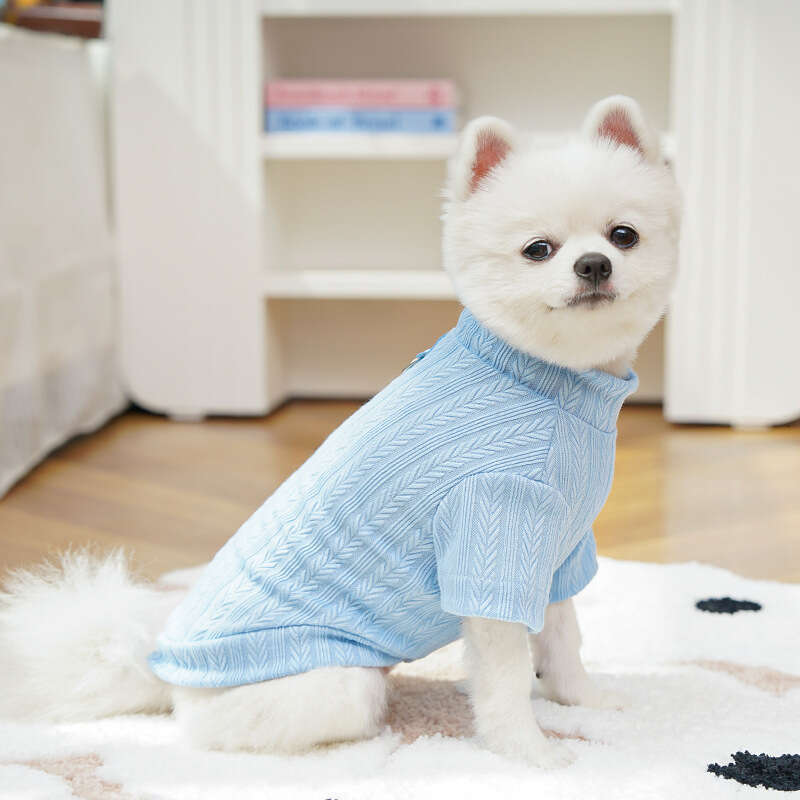 Famous brand Early Autumn Winter Base Shirt Stretchy Pet Dog Clothes Cat Supplies Teddy Bichon Ragdoll British Shorthair Short Legs pupakaIK