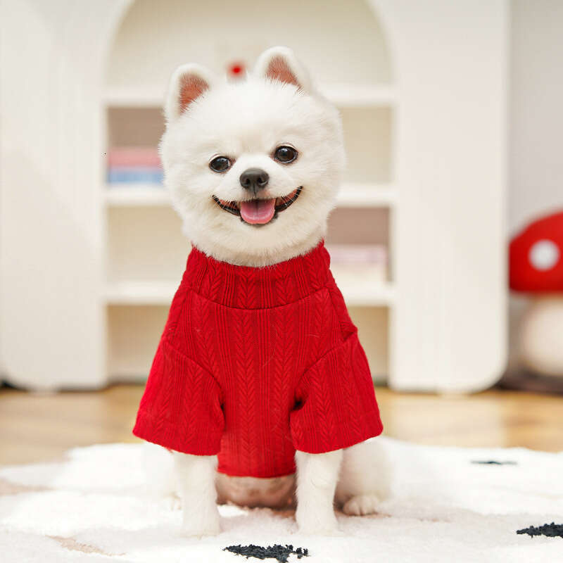 Famous brand Early Autumn Winter Base Shirt Stretchy Pet Dog Clothes Cat Supplies Teddy Bichon Ragdoll British Shorthair Short Legs pupakaIK