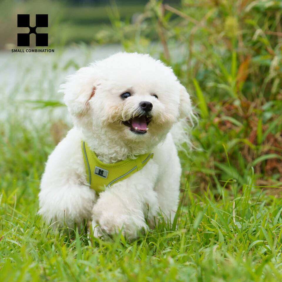 Leash Set for Small Medium Dog Adjustable Reflective Puppy Cat Harness pet Vest Chihuahua Dachshund Outdoor Walking