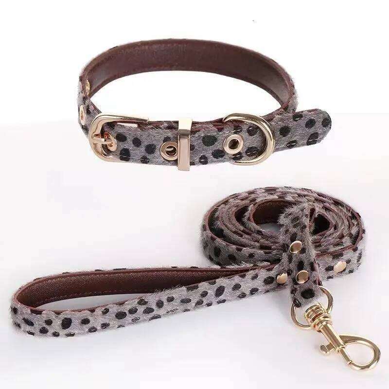 Leopard Leather Small Dog Collar and Leash Set Poodle Yorkshire Terrier Puppy Collars Pet Supplies Collier Chien