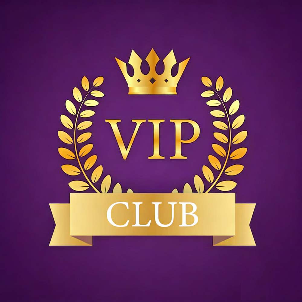 SHuiYing XX-02 VIP Exclusive Payment Portal Orders Balance Top-Up & Express Shipping fee