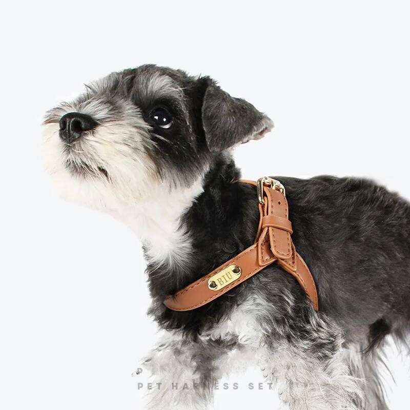 Y shaped leather for cat and small dogs metal accessories dog harness with leash set no pull light weight pet vest