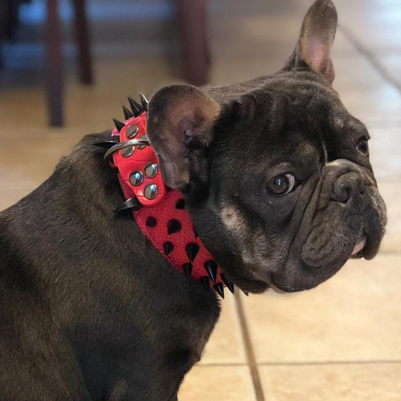 Dog Collar AntiBite Rivet Large Dog Collar Bulldog Domineering Collar Dog AntiBite Bully Dog Supplies Pet 240824