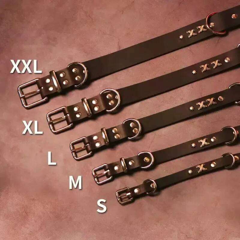 Vintage Leather Dog Set - Handcrafted Genuine Cowhide Collar & Lead Golden Retriever Malamute, Retro Training Gear for Large