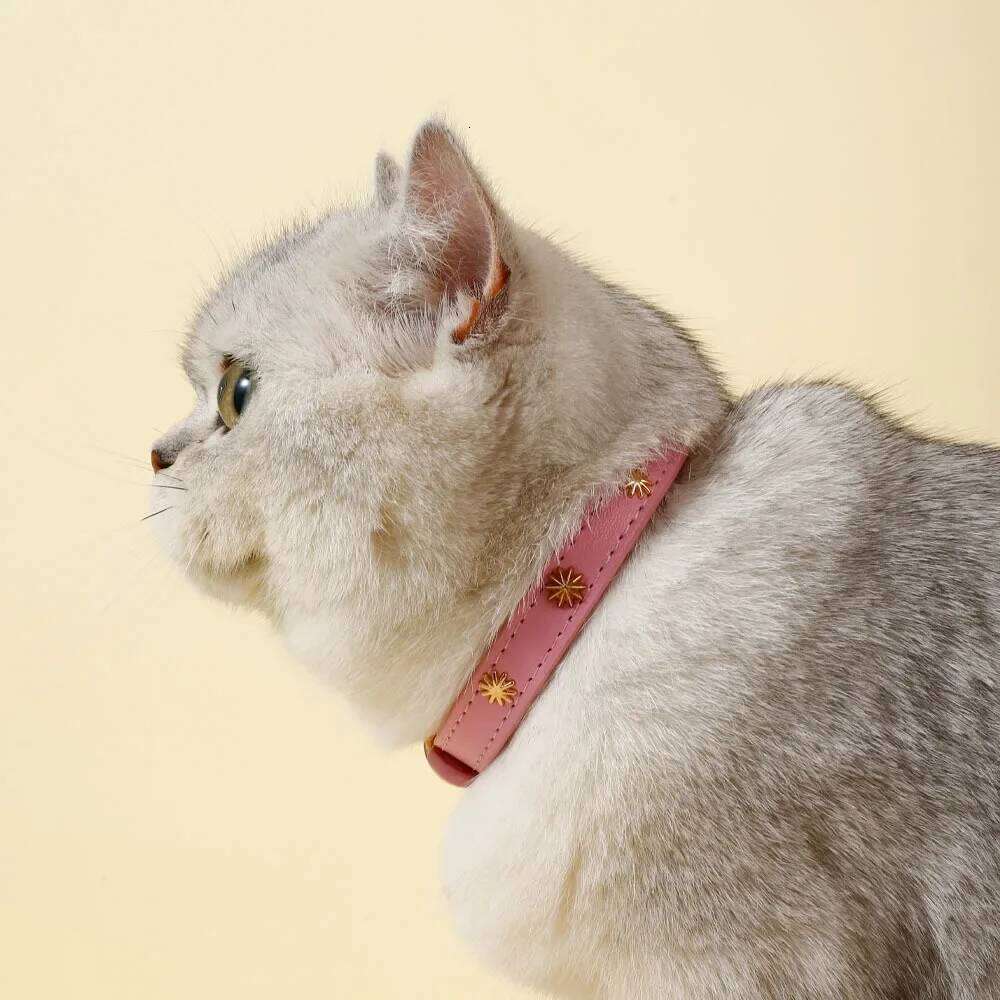 Designers Leather Cat Collar Gold Rivet Kitten Necklace for Cats Small Dog Puppy Accessories Pet Supplies Chihuahua 1.3 CM Width
