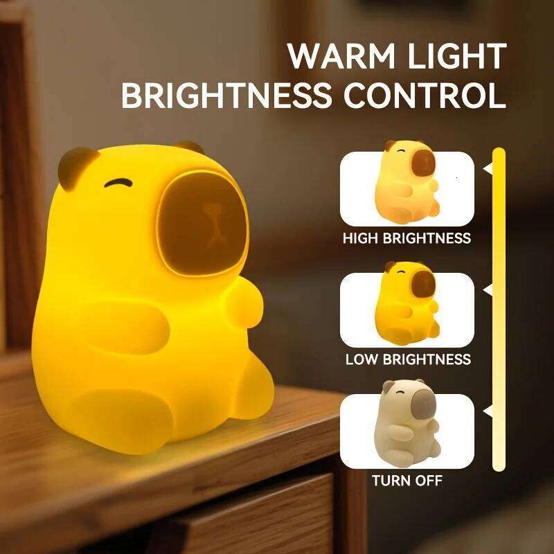 Capybara Night with Turtle Backpack Rechargeable, Timer Function Home Decor Ambient Light Birthday & Christmas Gift Z260227