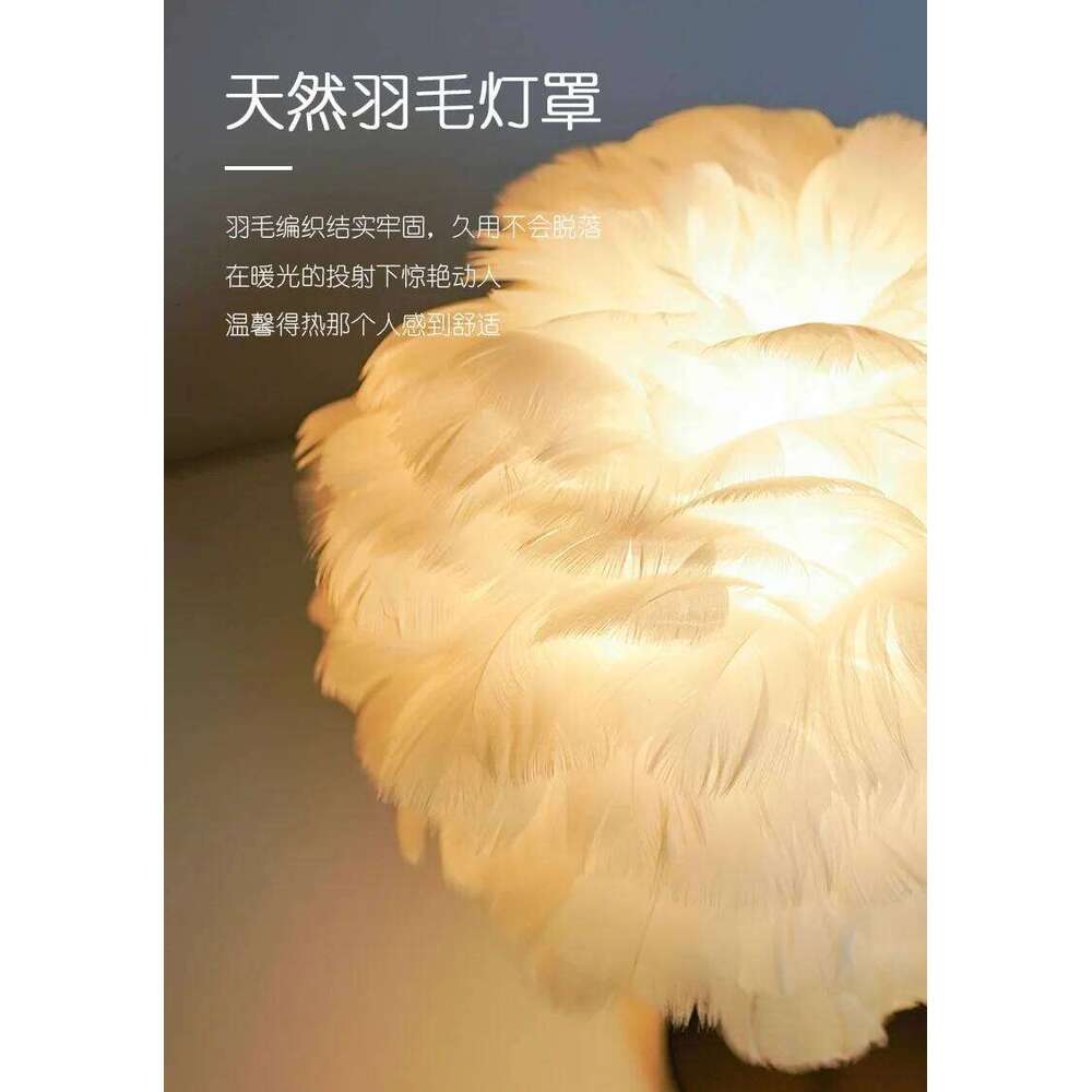 Nordic Decorative Table Bedroom Bedside High Sense & B Creative Ins Girl Heart Feather Lamp Light Luxury Z260227