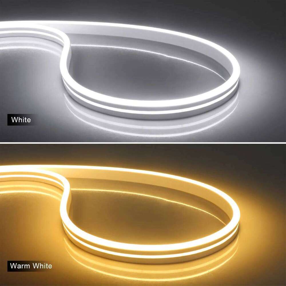 LED Bedroom Study Room Led lights Strip Neon Light Silica Gel with Penetrating Touch Switch Dimmable 2m 3m 5m 10m Z260226