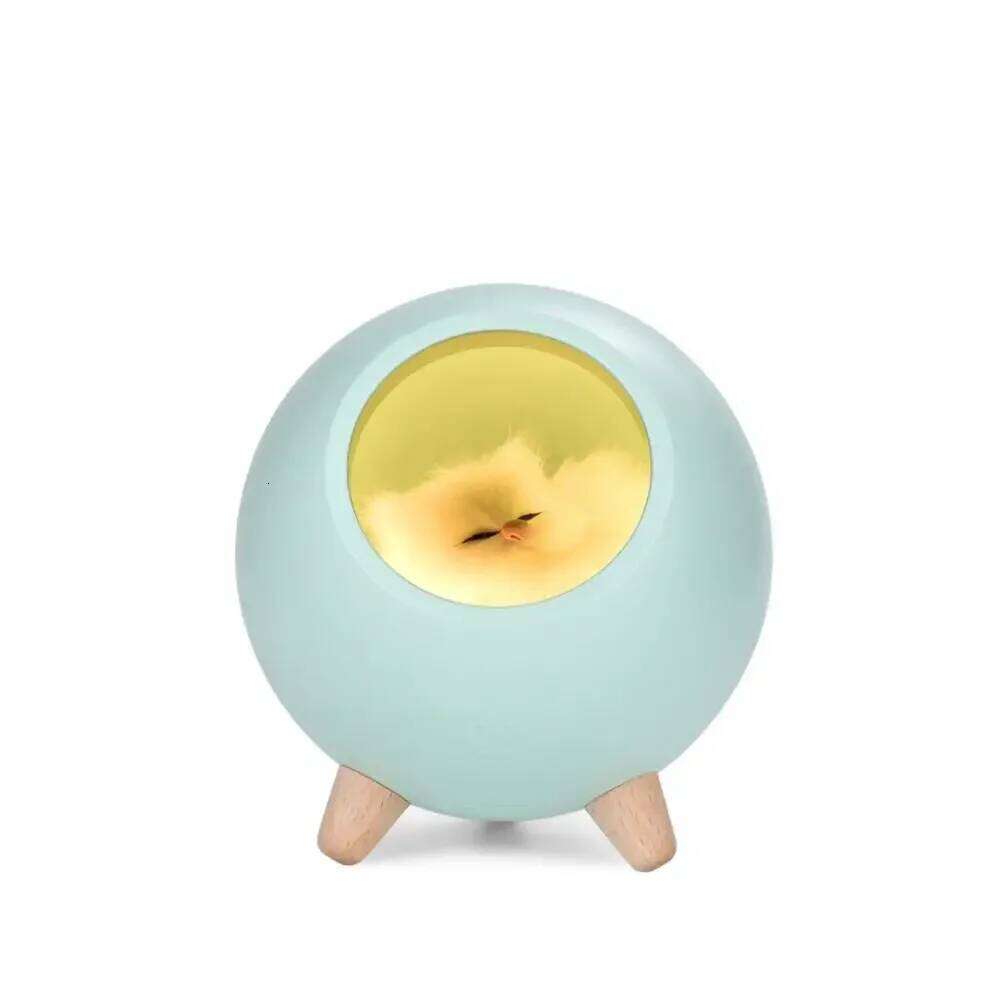Little Cute House Night Light Kitten Bed With Sleeping USB Charging Touch Atmosphere Pet Cat Lights Z260227