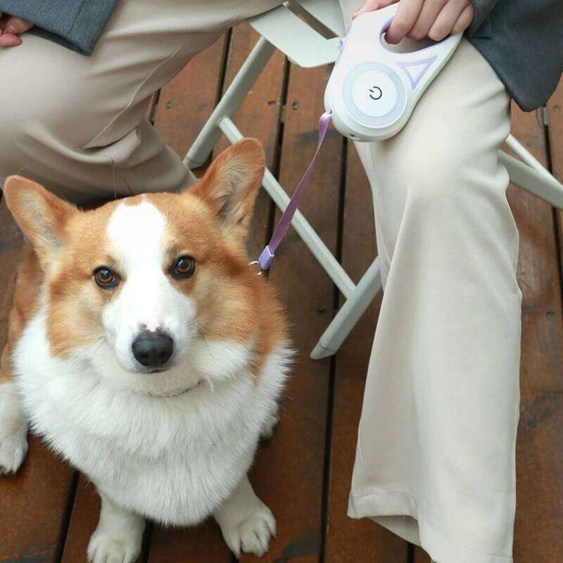 LED-Illuminated Retractable Dog Leash with One-Touch Lock Anti-Tangle, Comfort-Grip for Nighttime Safety & Hands-Free Control