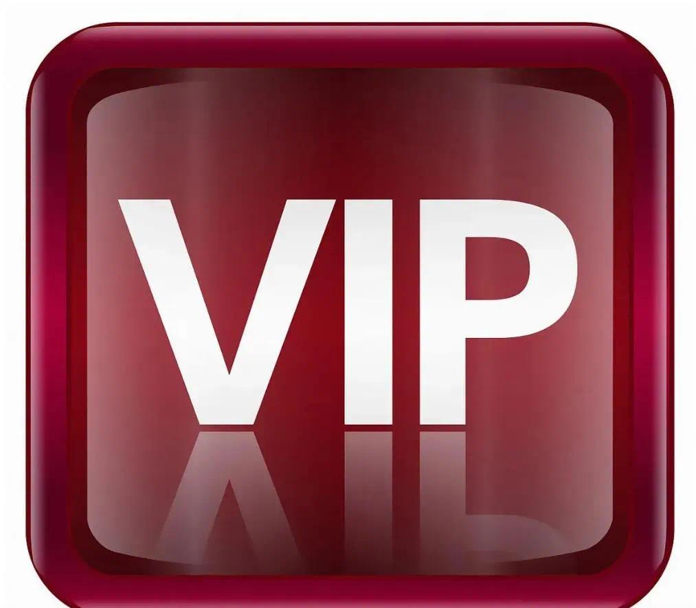 Wholesale Exclusive VIP Payment Link 88888888