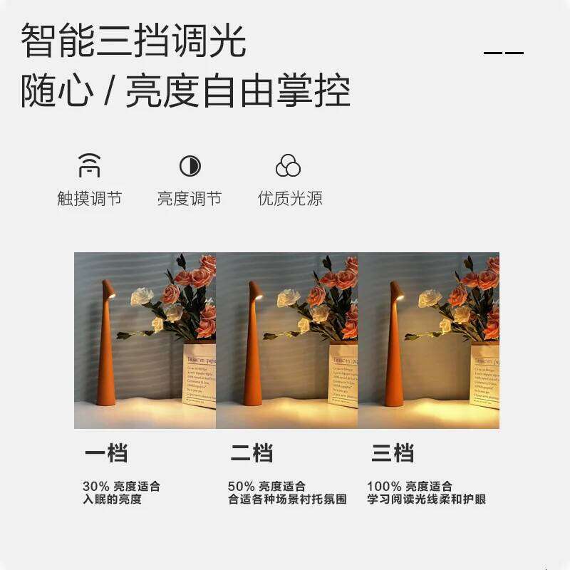 Design light luxury reading charging desktop atmosphere lamp bedroom bedside desk decoration Z260227