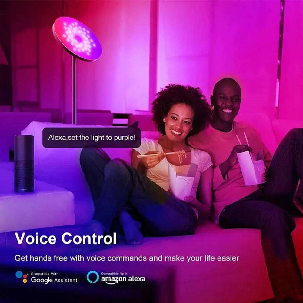 5M 10M 15M 20M Neon RGBIC Led Strip Light 24V Addressable 5050 60LEDs/m WS2811 RGB IC Ribbon Rope Alexa Wifi App RF Control Lamp Z260226