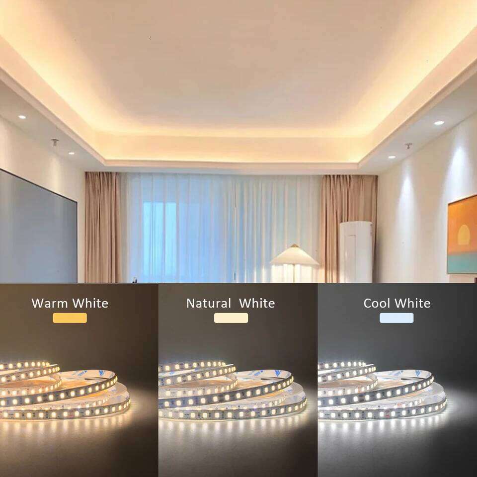 Ra98 Full Spectrum Strip Light 24V 10M 5M SMD2835 120LEDs Led Tape Ribbon Lamp 24 volt High CRI Flexible Lighting Z260226