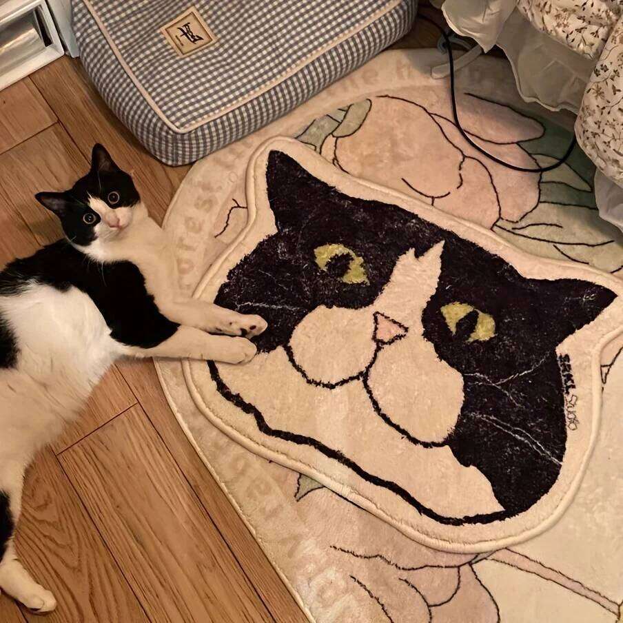 1 Piece of Cat Floor Mat Is Anti Slip, Waterproof, and Stain Resistant, Suitable for Bathroom, Bedroom, Kitchen, Home Decoration H260226