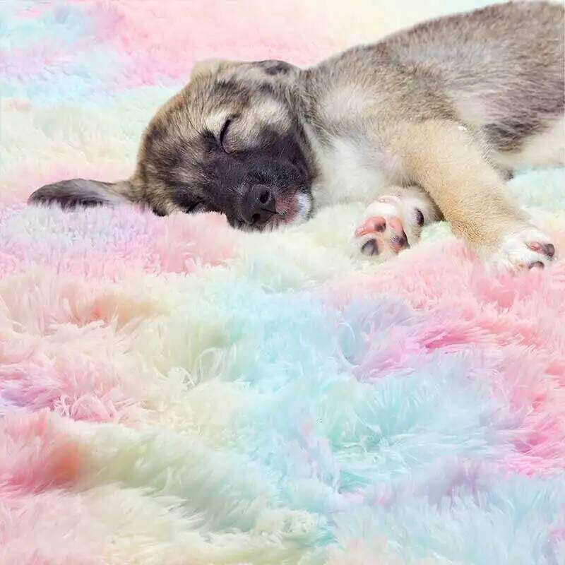 60/80/100/120/140/160 Round Rug Rainbow Fluffy Soft Area Rugs for Kids Girls Room Plush Shag Carpet Cute Circle Bedroom Decor H260227 - view 3