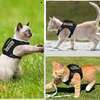 Pet Supplies Tactical Chest Harness Traction Rope To Prevent Detachment Adjustable Outdoor Cat Leash & for Small Pets