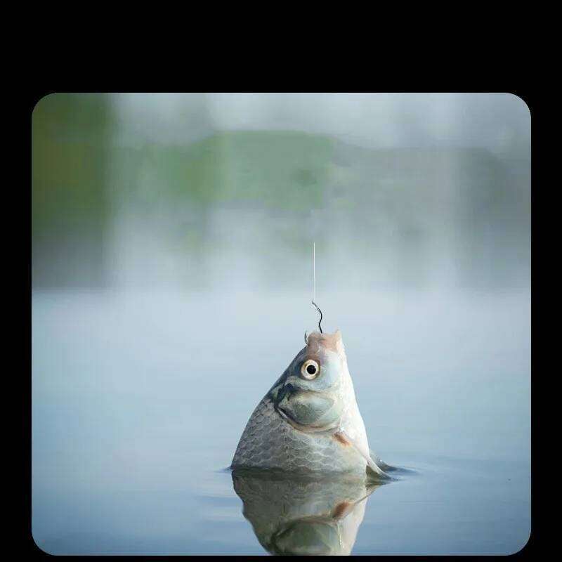 FTK Double Hooks With Line Flipping Rigs Automatic Flip Tied Carp Hook Size 0.5#-13# Fishing Tackle Z260228