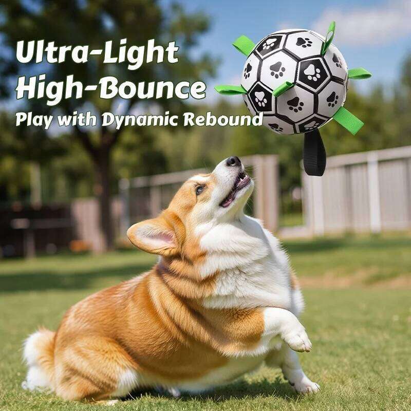 Pet Supplies Dog Toy Ball Border Collie Self & Amusement Toy Training Specific Dog Soccer Ball Durable Chew Toy for Pets