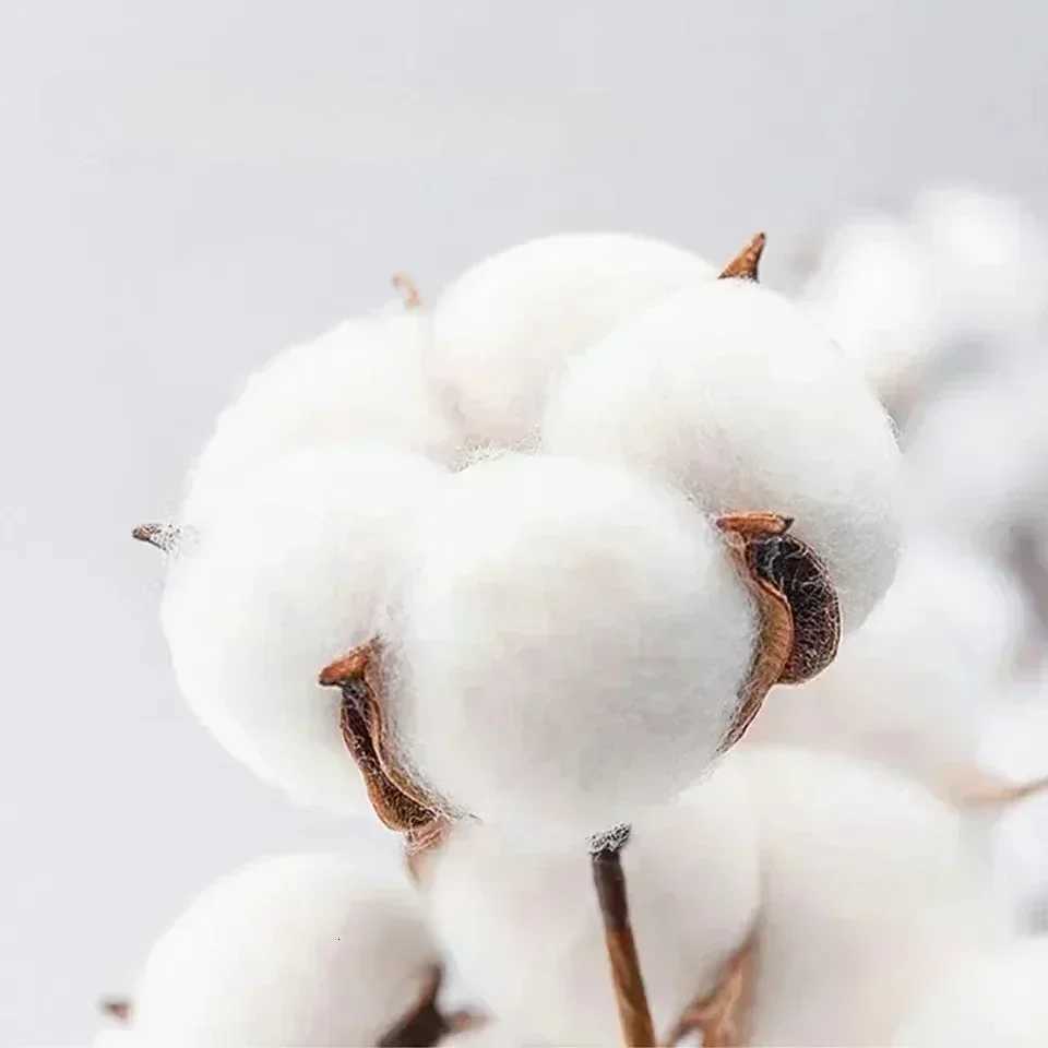 Dual-Logo Heavyweight Cotton T-Shirt Structured Crew Neck Semi-Oversized Casual TopT260228