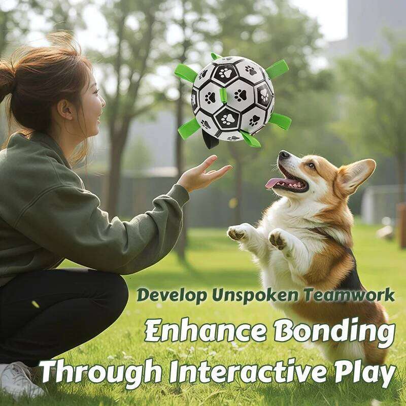 Pet Supplies Dog Toy Ball Border Collie Self & Amusement Toy Training Specific Dog Soccer Ball Durable Chew Toy for Pets