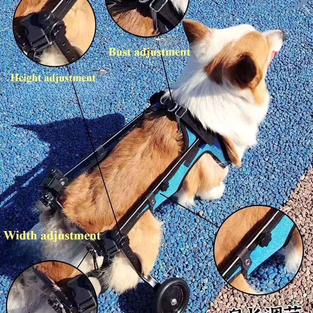 Pet Supplies Wheelchair Limb Paralysis Scooter Disabled Dog Hind Leg Assisted & Pet Rehabilitation Brace