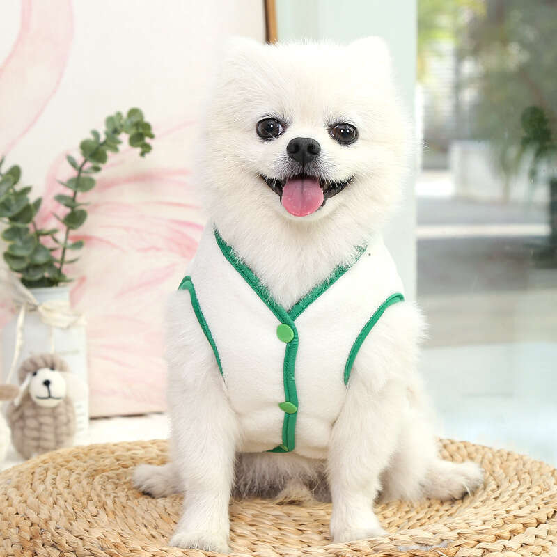 Famous brand Autumn winter warm pet clothes for cats Teddy Bichon Pomeranian small dogs and puppies cat supplies dog vests manufacturer pupakaIK